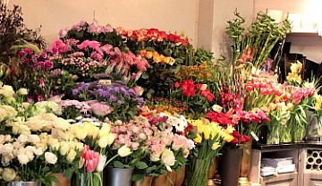 Kwiaciarnia Grota - kwiaty, wizanki, bukiety